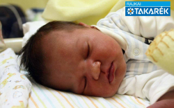 Sebők Sára, Dunakiliti