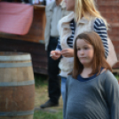 Szigetköz ízei, vármegye borai fesztivál - péntek (Fotó: Nagy Mária)