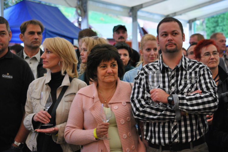 VII. Szigetköz ízei, Vármegye borai fesztivál péntek 1. (Fotó: Nagy Mária)