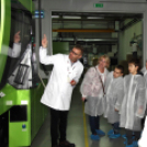 Kőrisfacsemetéket ültettek a diákok a Nolato Magyarország Kft telephelyén