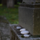 Séta a Zsidó temetőben (Fotó: Nagy Mária)