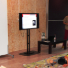 Szer-telen Ifjúság Napja 2014