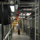 Nolato - Raktárcsarnok beruházásának záró rendezvénye (Fotó: Nagy Mária)