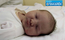 Divós Lina, Hanságliget