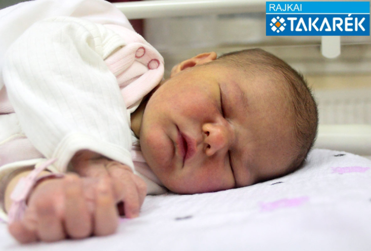 Kacsa Karina, Hegyeshalom