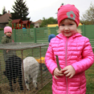 A Pillangó Óvoda és Mini Bölcsöde közös húsvétolása a Mosonmagyaróvári Mentőszolgálat gyermekeivel