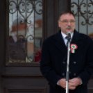 2015. MÁRCIUS 15. Mosonmagyaróvár (Fotó: Horváth Attila)