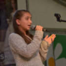 Szigetköz ízei, Vármegye borai Fesztivál (vasárnap) (Fotó: Horváth Attila)