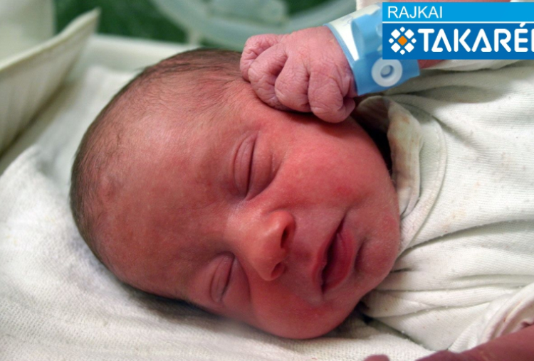 Horváth László, Mosonmagyaróvár