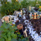 Apró kezek-Csodakertek: A közönségszavazás eredménye