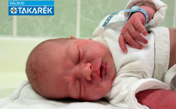 Sprencz Flóra, Mosonmagyaróvár