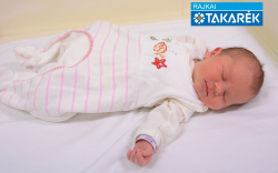 Németh Zora, Mosonmagyaróvár