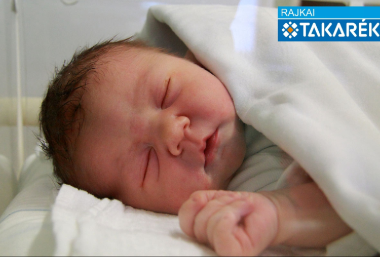 Németh Kata, Halászi