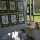 III. Szigetközi Gyógynövénynap megnyitó