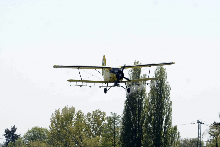 A Velencei- és a Tisza-tónál is irtják a szúnyogokat
