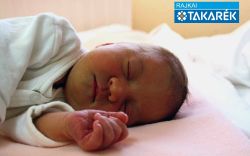 Prikler Emma, Dunasziget