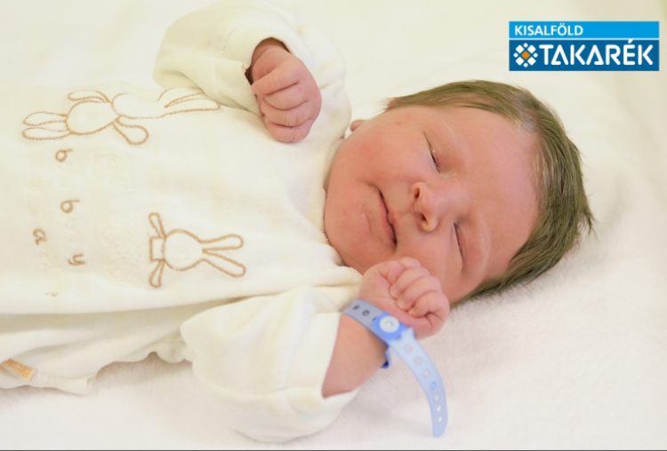 Slámer Bence, Halászi