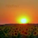 Tilai Gergely - Kerekesszéktől az önálló fotókiállításig