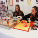 Pályaválasztási és álláskeresési információs nap Mosonmagyaróvár