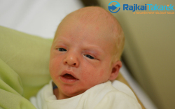 Palotás Ármin, 3360 gr. Móvár