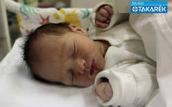 Hok Gergő, Mosonmagyaróvár