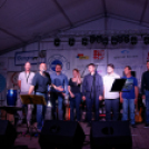 Szigetköz ízei, vármegye borai fesztivál / Pink Floyd Emlékzenekar koncertje (Fotó: Horváth Attila)