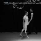 Tánc Világnapja a Fehér Lóban