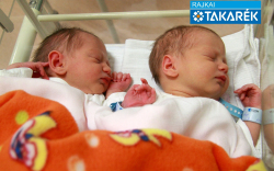 Oláh Vivien, Oláh Lilla, Bábolna