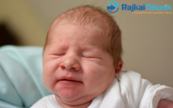 Tóth Bence, 3550 gr. Mosonmagyaróvár