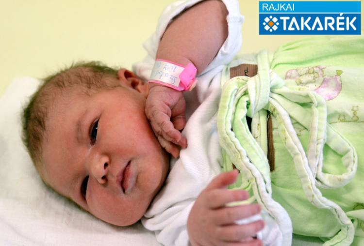 Szabó Laura, Barkacs