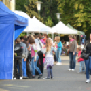 Szigetköz ízei, vármegye borai fesztivál - péntek (Fotó: Nagy Mária)