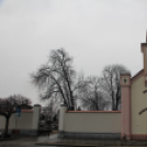 Megemlékezés Mosonmagyaróváron a Doni áttörés 75. évfordulója alkalmából