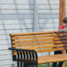  Pihenő Park és Kerékpár Megálló avatása (Belvárosi Játszótér)