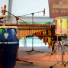 VÁROSKÖZPONTIAK NAPJA 2016, 1 nap (Fotó: Bánhegyi István)