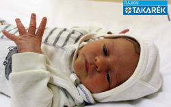 Horváth Zétény, Kapuvár