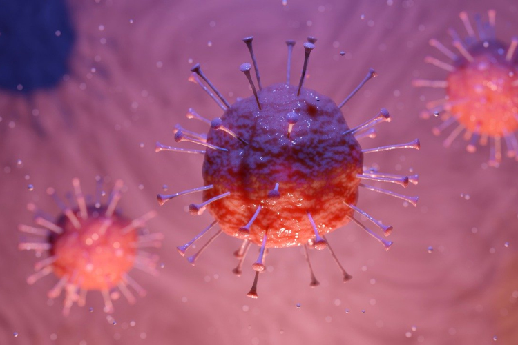 Újabb rekord volt az igazolt fertőzöttek napi számában Csehországban