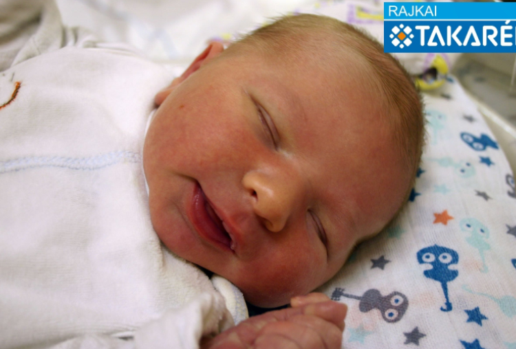 Borbély Botond, Darnózseli