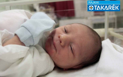 Schneider Noel, Mosonmagyaróvár