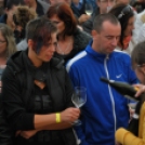 VII. Szigetköz ízei, Vármegye borai fesztivál péntek 1. (Fotó: Nagy Mária)