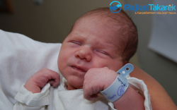 Halász Noel Viktor, 3430 gr. Levél