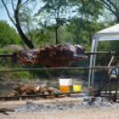 Ökör sütés az Englernél (Fotó: Nagy Mária)
