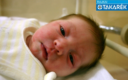 Pintér Teodor, Mosonmagyaróvár