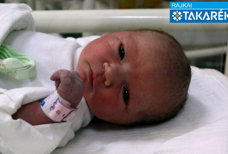 Lelkes Larina, Dunakiliti