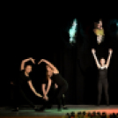 Ünnepi gálaműsor a tánc világnapja tiszteletére - Szigeti Gábor táncpedagógus emlékére