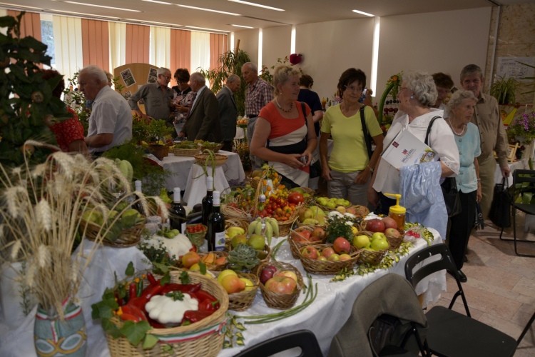 Termény- és virágkiállítás 