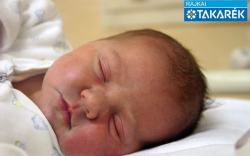 Horváth Hanna, Csorna