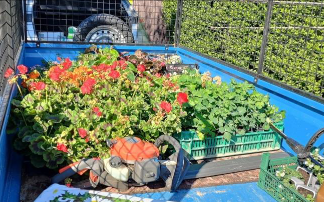 Virágosítás, közösségi terek felújítása