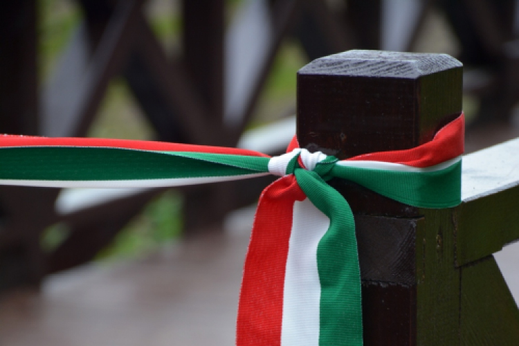 Gyalogos Lajta Híd ünnepélyes átadása (Fotó: Bánhegyi István)