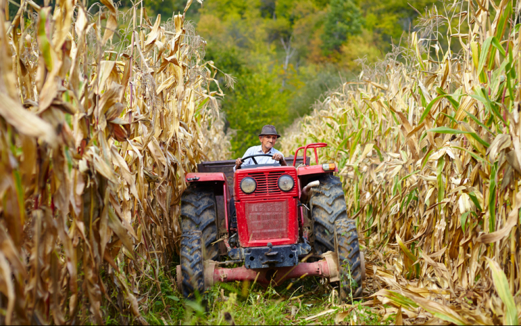 Agrárkamara: módosult a pótbevallás és a tagdíjbefizetés határideje
