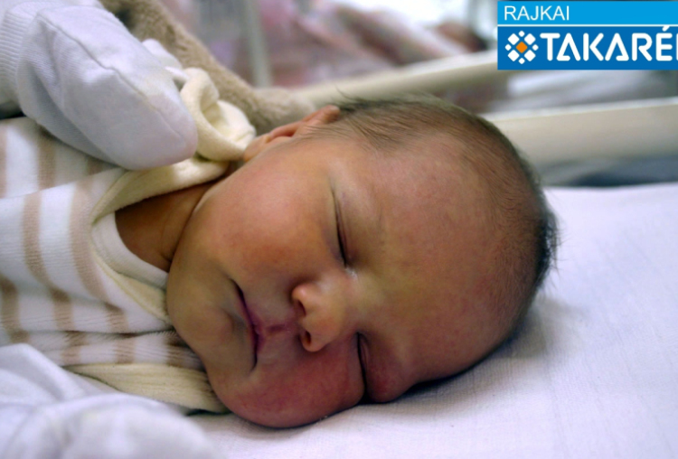 Gősi Bertalan, Bősárkány